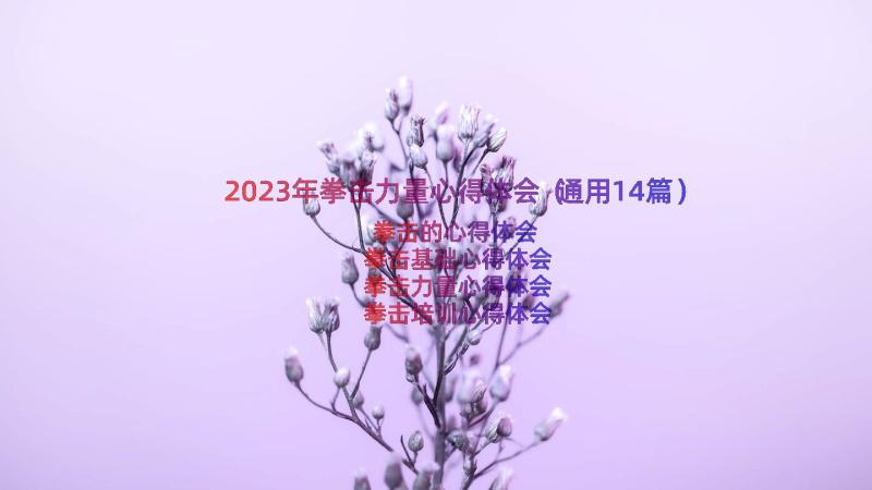 2023年拳击力量心得体会（通用14篇）