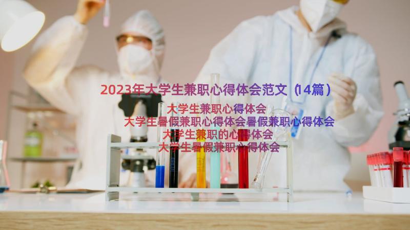 2023年大学生兼职心得体会范文（14篇）