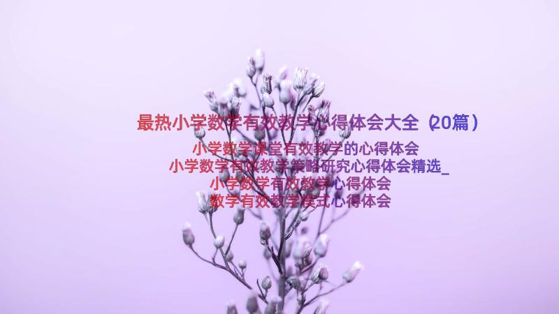 最热小学数学有效教学心得体会大全（20篇）