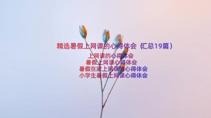 精选暑假上网课的心得体会（汇总19篇）