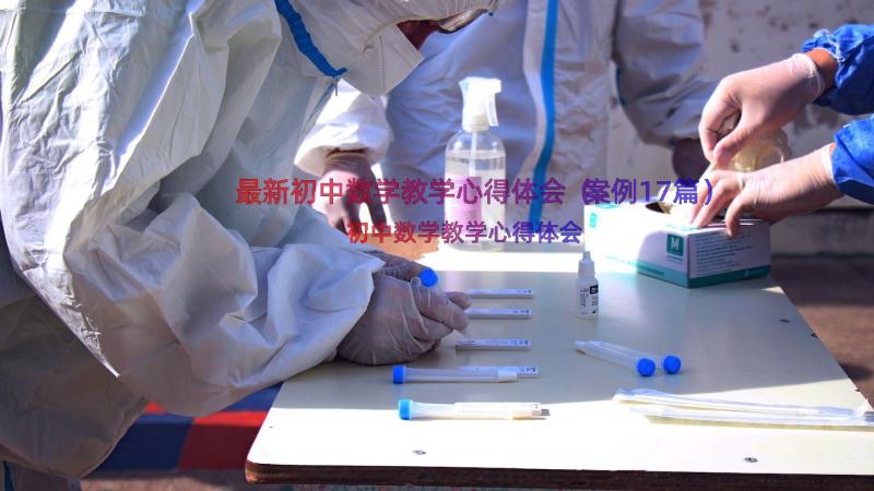 最新初中数学教学心得体会（案例17篇）