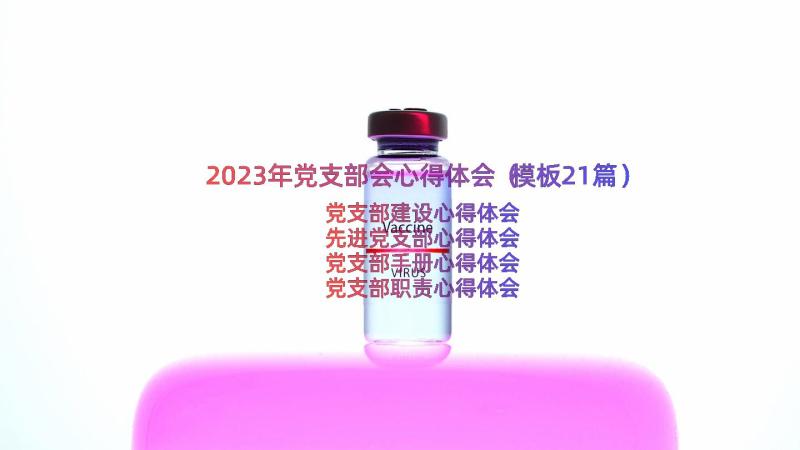 2023年党支部会心得体会（模板21篇）