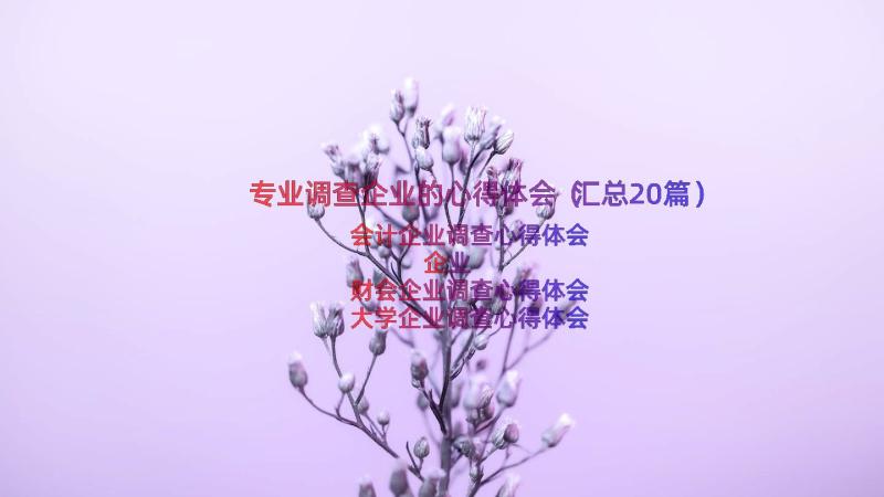 专业调查企业的心得体会（汇总20篇）