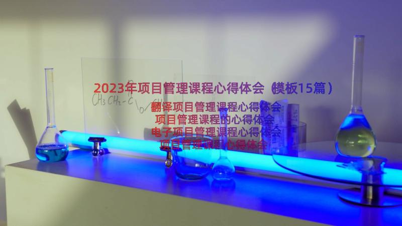 2023年项目管理课程心得体会（模板15篇）