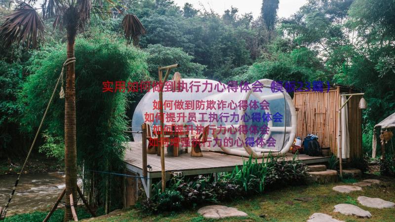 实用如何做到执行力心得体会（模板23篇）