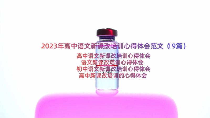 2023年高中语文新课改培训心得体会范文（19篇）