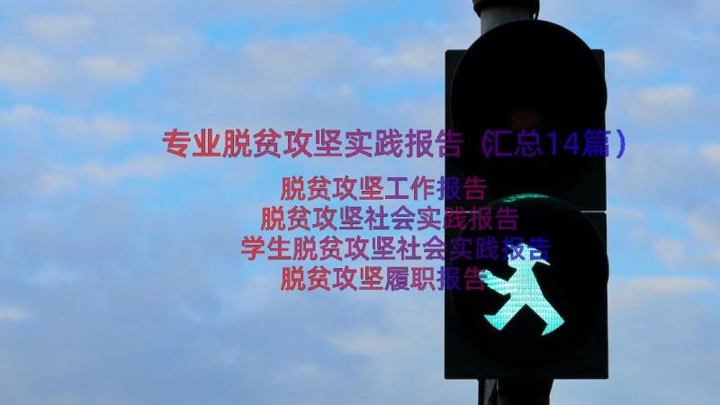 专业脱贫攻坚实践报告（汇总14篇）