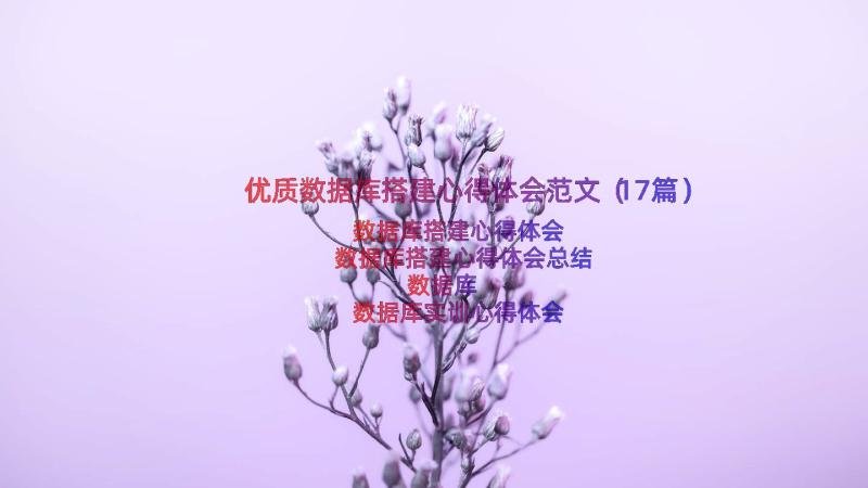 优质数据库搭建心得体会范文（17篇）