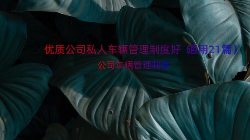 优质公司私人车辆管理制度好（通用21篇）