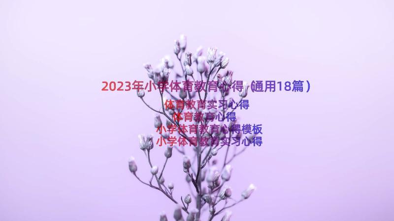 2023年小学体育教育心得（通用18篇）