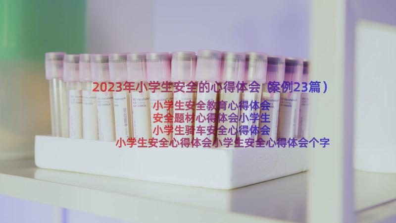 2023年小学生安全的心得体会（案例23篇）