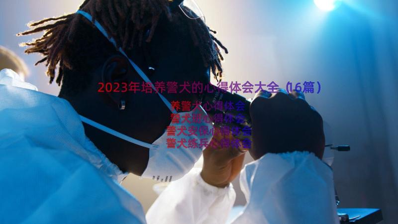 2023年培养警犬的心得体会大全（16篇）