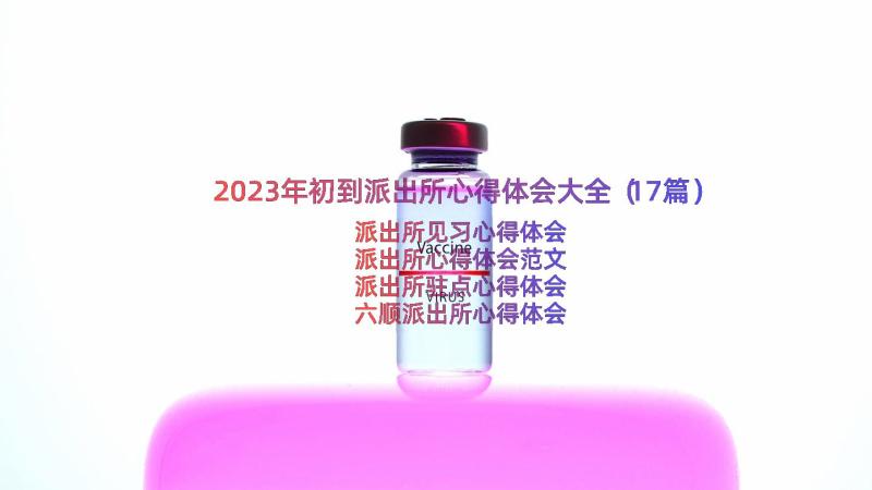 2023年初到派出所心得体会大全（17篇）