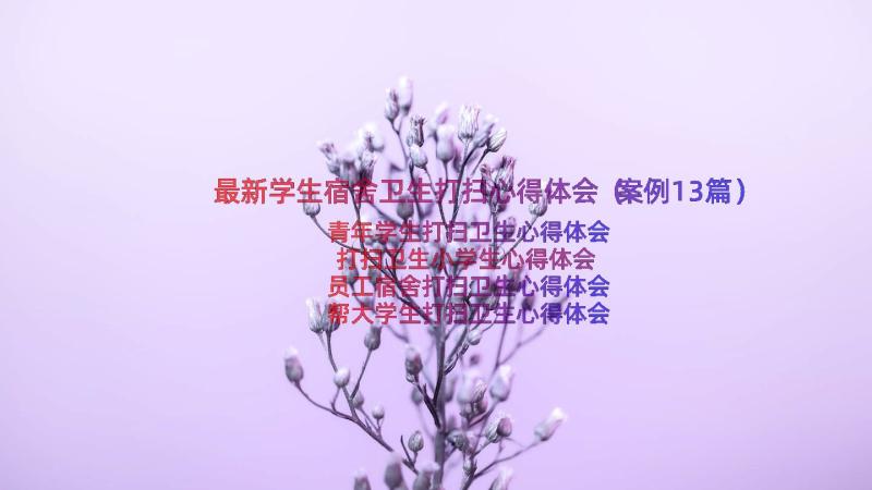 最新学生宿舍卫生打扫心得体会（案例13篇）