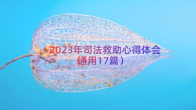 2023年司法救助心得体会（通用17篇）