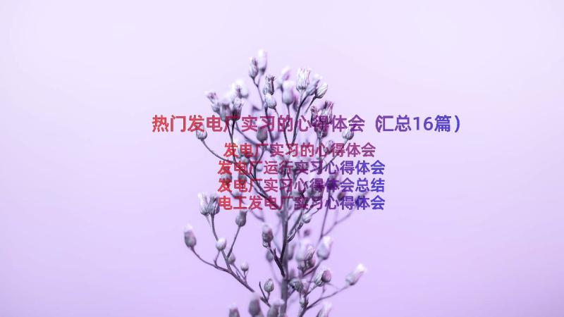 热门发电厂实习的心得体会（汇总16篇）