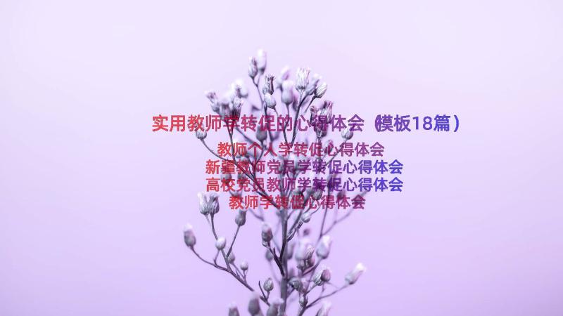 实用教师学转促的心得体会（模板18篇）