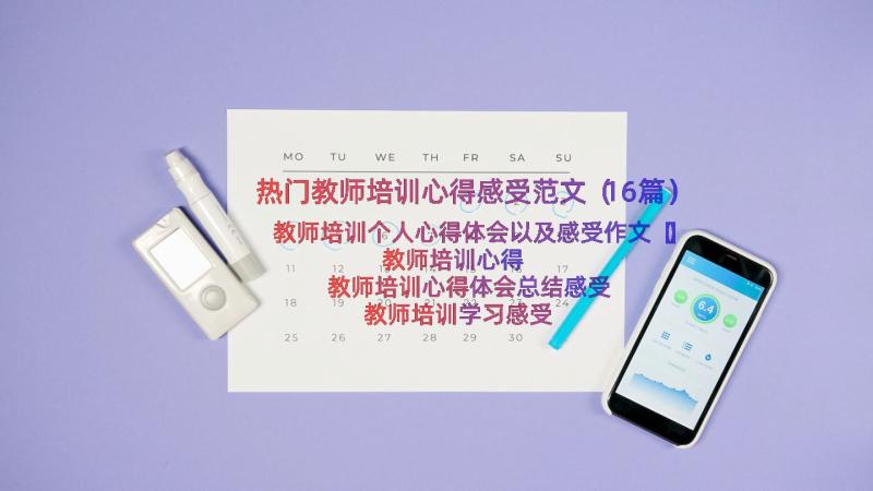 热门教师培训心得感受范文（16篇）