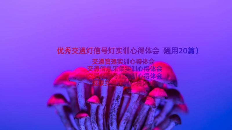 优秀交通灯信号灯实训心得体会（通用20篇）