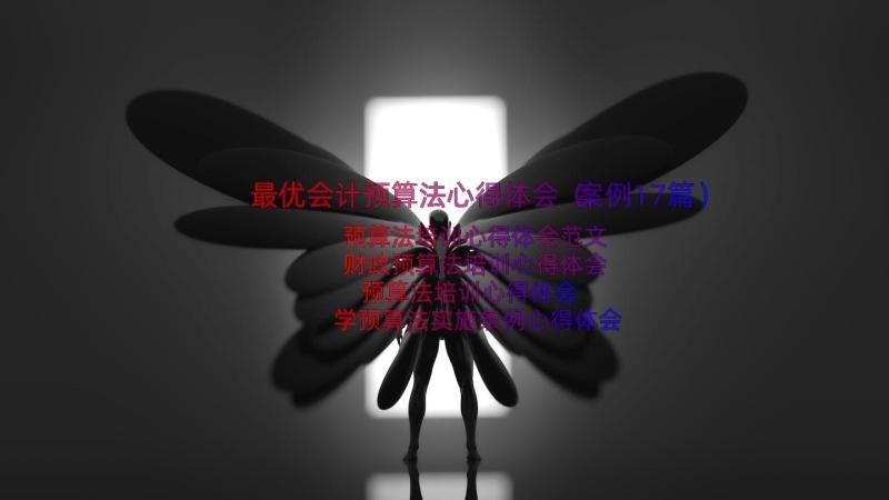 最优会计预算法心得体会（案例17篇）