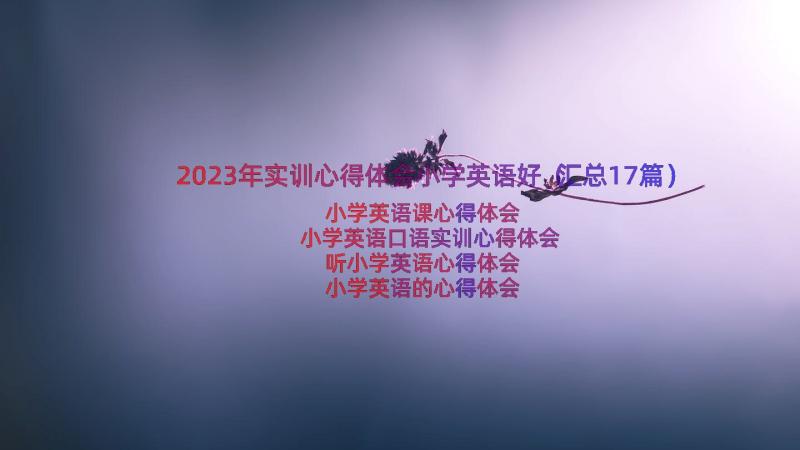 2023年实训心得体会小学英语好（汇总17篇）