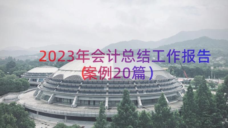 2023年会计总结工作报告（案例20篇）