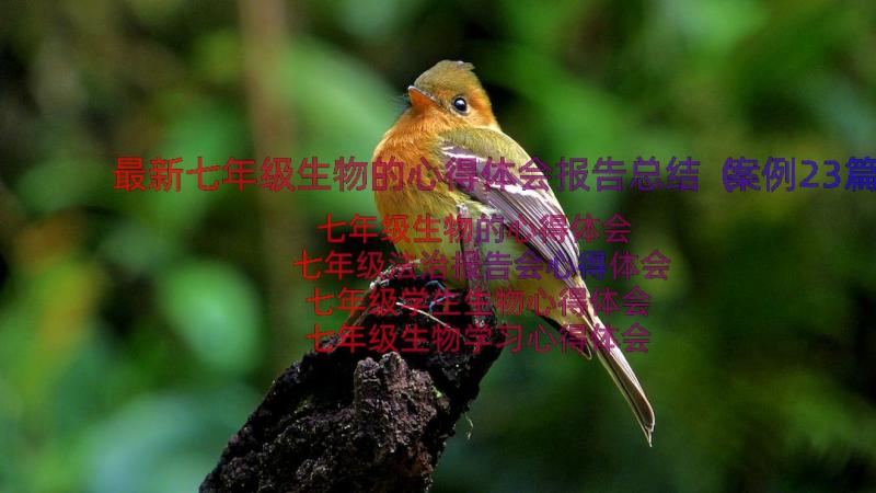 最新七年级生物的心得体会报告总结（案例23篇）