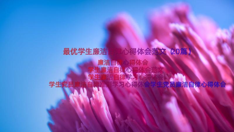 最优学生廉洁自律心得体会范文（20篇）