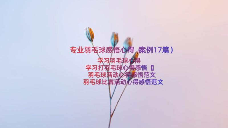 专业羽毛球感悟心得（案例17篇）