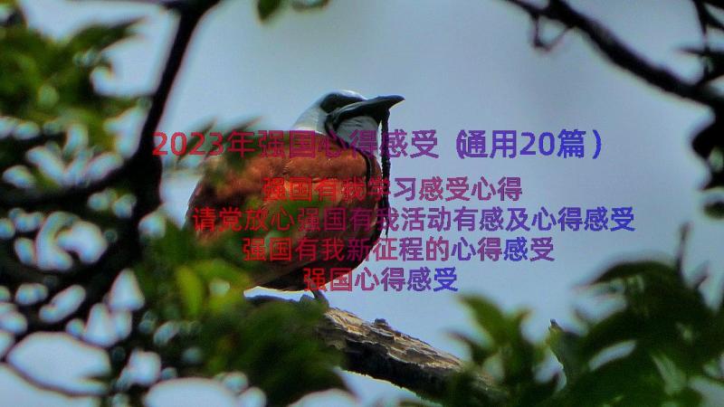 2023年强国心得感受（通用20篇）