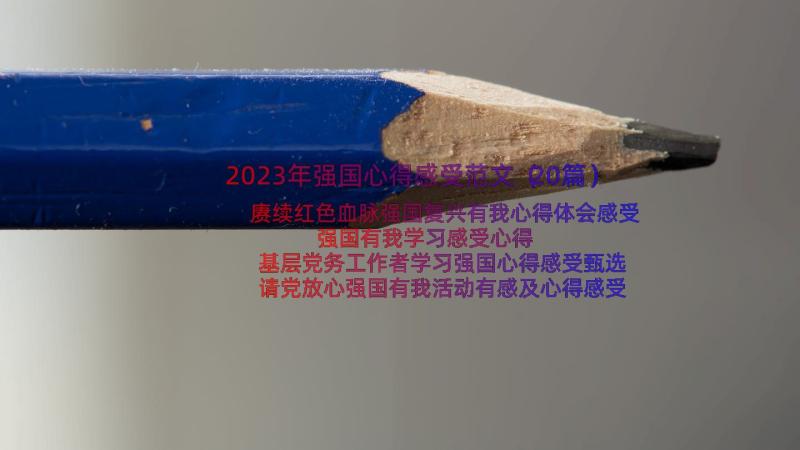 2023年强国心得感受范文（20篇）