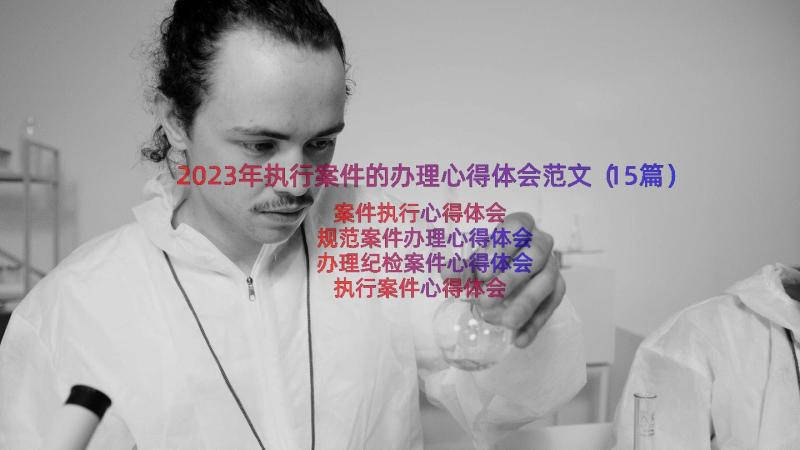 2023年执行案件的办理心得体会范文（15篇）