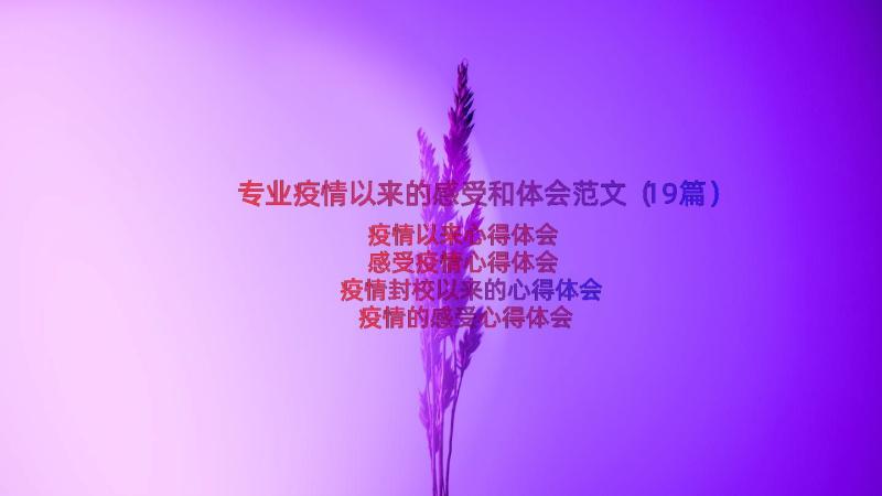 专业疫情以来的感受和体会范文（19篇）