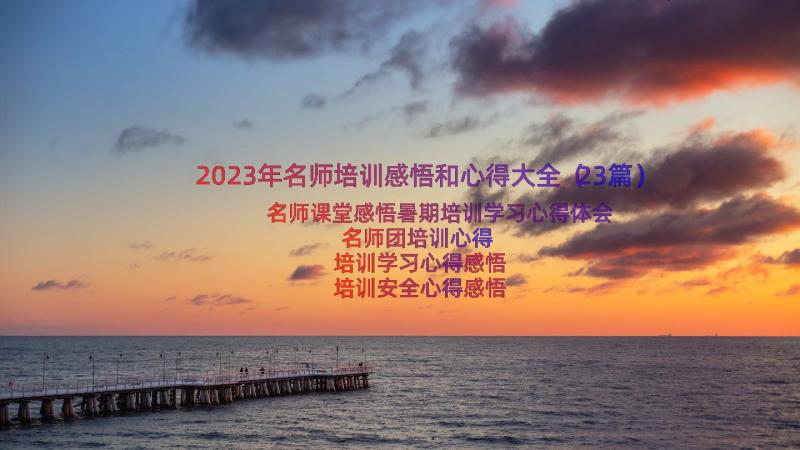 2023年名师培训感悟和心得大全（23篇）