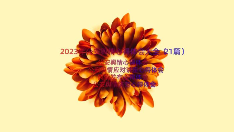 2023年公安舆情心得体会大全（21篇）