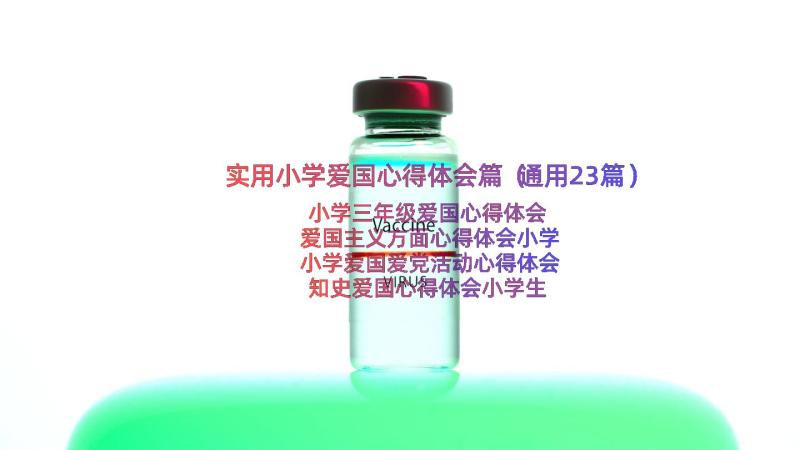 实用小学爱国心得体会篇（通用23篇）