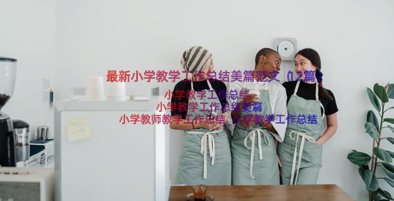 最新小学教学工作总结美篇范文（12篇）