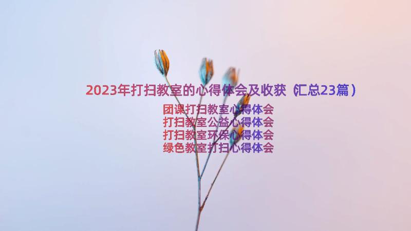 2023年打扫教室的心得体会及收获（汇总23篇）