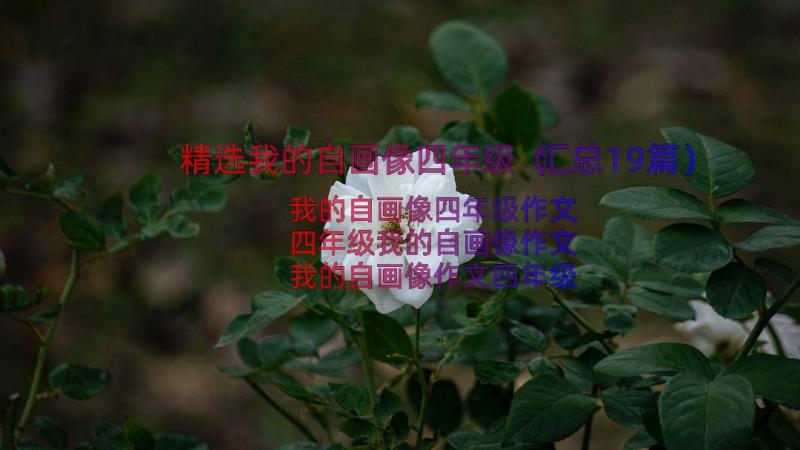 精选我的自画像四年级（汇总19篇）