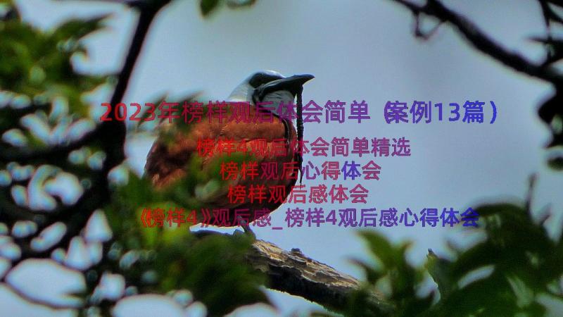 2023年榜样观后体会简单（案例13篇）