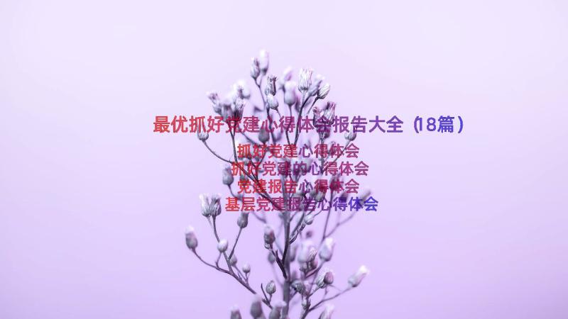 最优抓好党建心得体会报告大全（18篇）