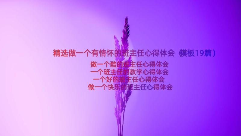 精选做一个有情怀的班主任心得体会（模板19篇）