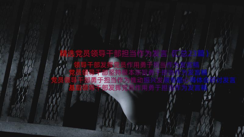 精选党员领导干部担当作为发言（汇总23篇）