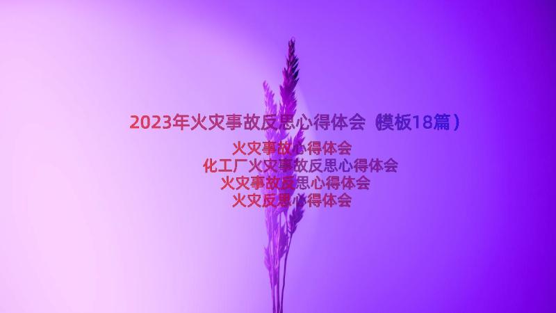 2023年火灾事故反思心得体会（模板18篇）