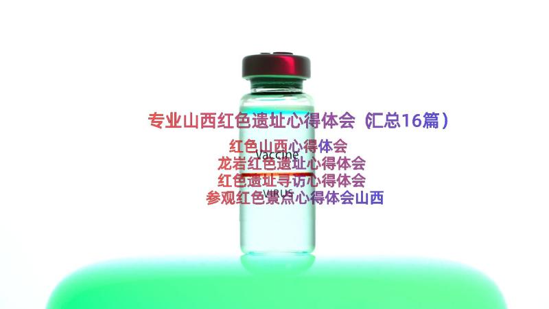 专业山西红色遗址心得体会（汇总16篇）