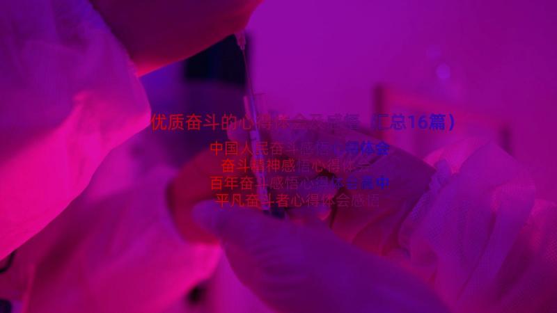 优质奋斗的心得体会及感悟（汇总16篇）