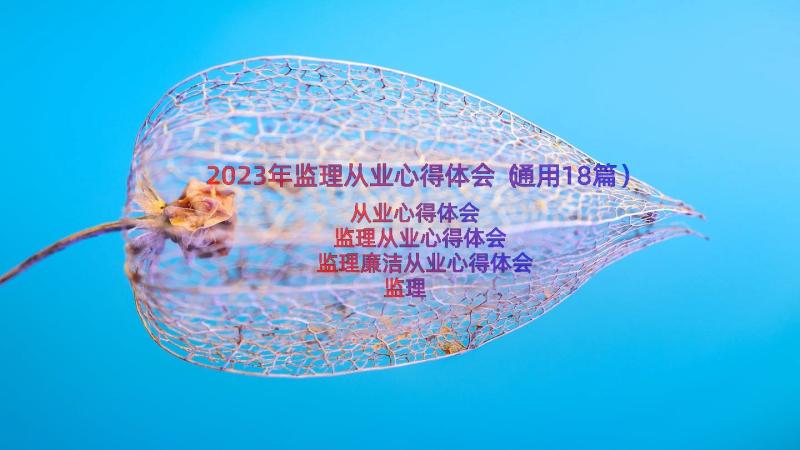 2023年监理从业心得体会（通用18篇）