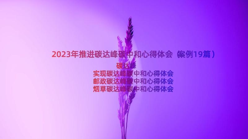 2023年推进碳达峰碳中和心得体会（案例19篇）