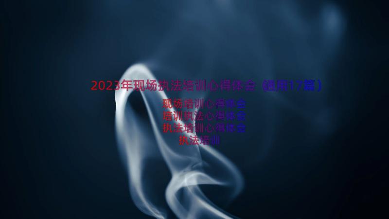 2023年现场执法培训心得体会（通用17篇）