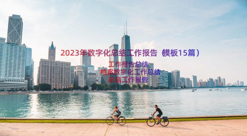 2023年数字化总结工作报告（模板15篇）